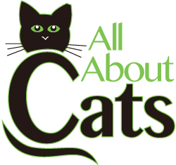 All About Cats Hilton Head Island, SC Logo