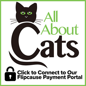 Flipcause Payment Portal